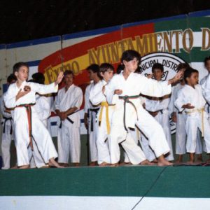 Karate-Shotokai-02